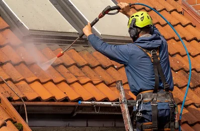 Démoussage et hydrofuge de toiture à Chassignieu